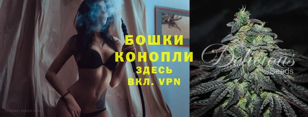 сатива Инсар