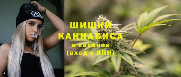 сатива Инсар