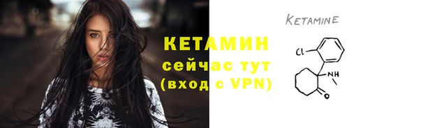 сатива Инсар