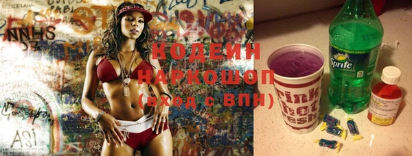 сатива Инсар