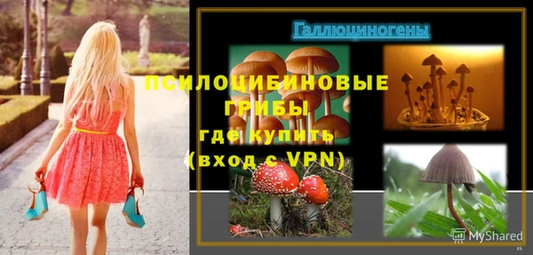 марихуана Инта