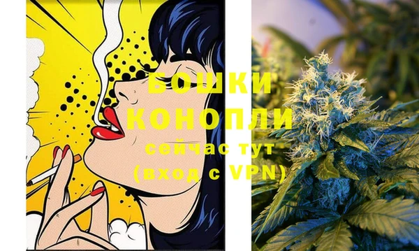 сатива Инсар